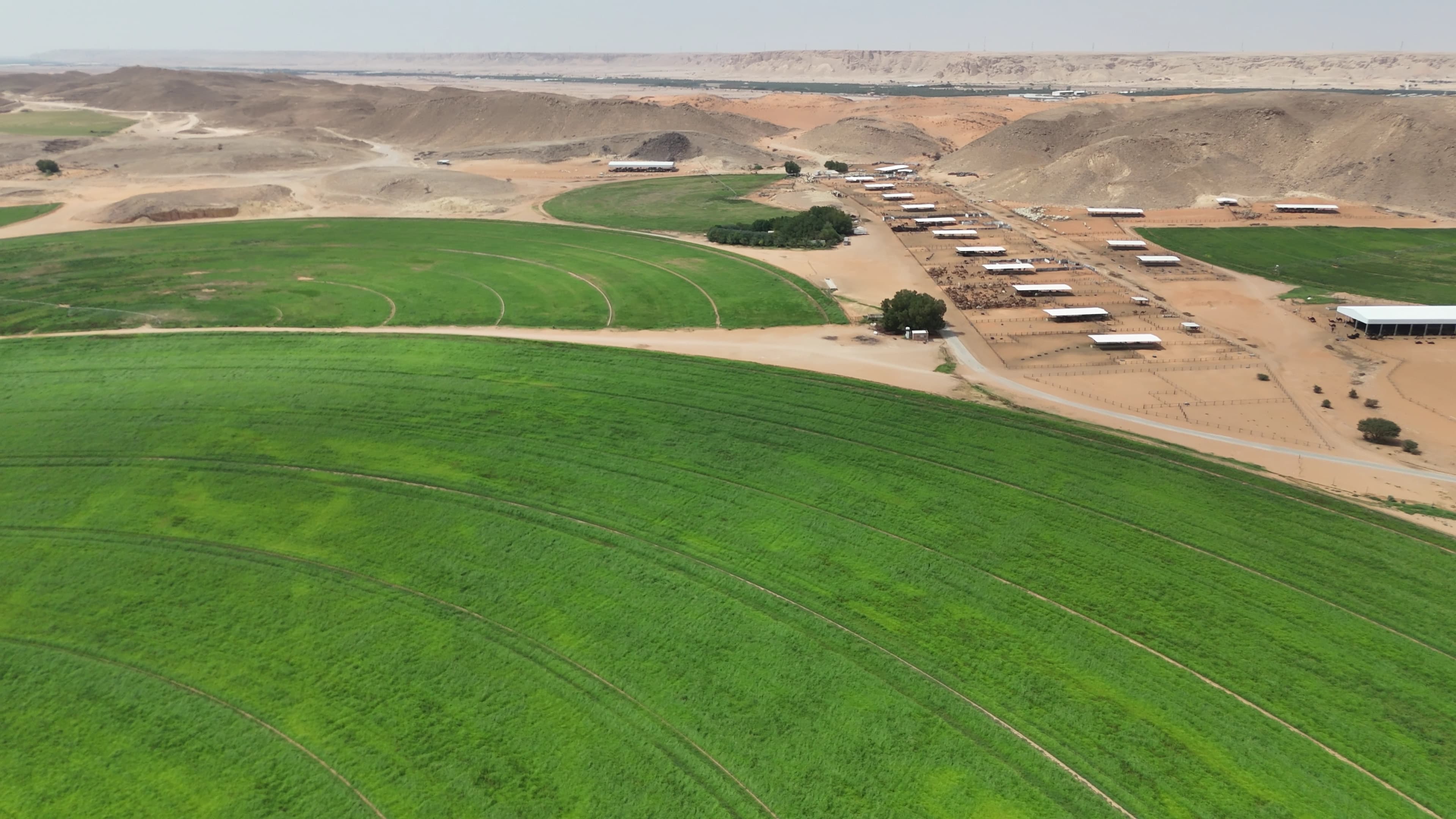 Energy Self Sufficient Agriculture Irrigation System